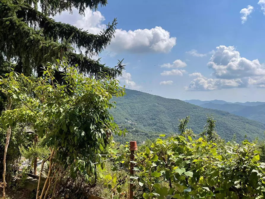 Immagine 32 di Appartamento in vendita  in Via per Aquila a Aquila D'arroscia