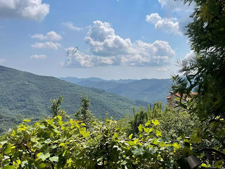 Immagine 33 di Appartamento in vendita  in Via per Aquila a Aquila D'arroscia