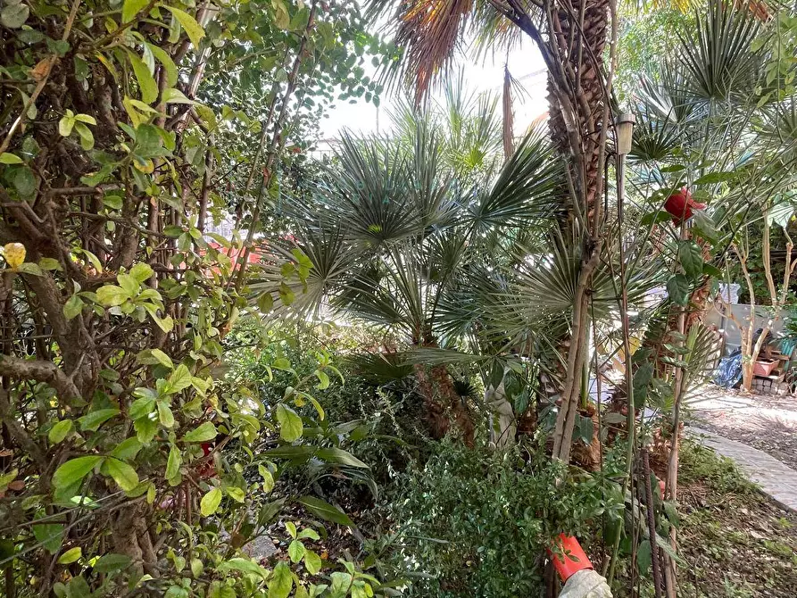 Immagine 54 di Appartamento in vendita  in Via per Aquila a Aquila D'arroscia