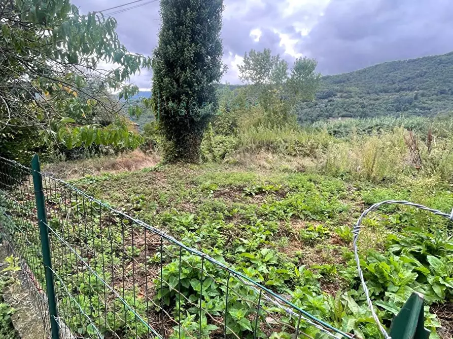 Immagine 16 di Rustico / casale in vendita  in Via Lorenzo Lucifredi a Borghetto D'arroscia