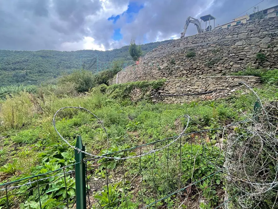 Immagine 21 di Rustico / casale in vendita  in Via Lorenzo Lucifredi a Borghetto D'arroscia