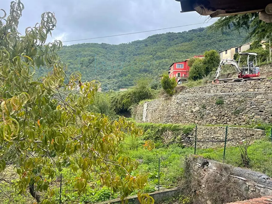 Immagine 22 di Rustico / casale in vendita  in Via Lorenzo Lucifredi a Borghetto D'arroscia