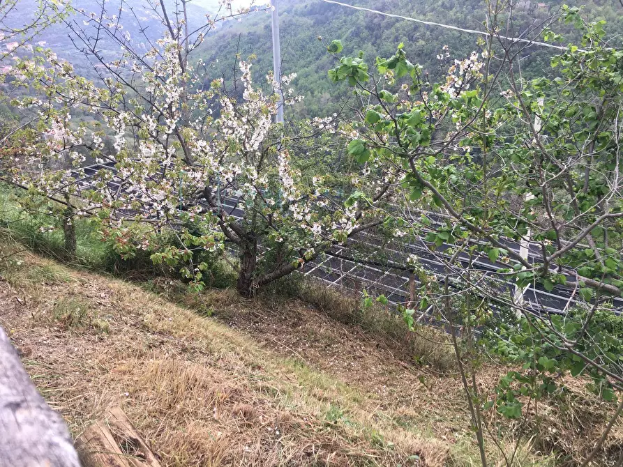 Immagine 29 di Rustico / casale in vendita  in Via Piemonte a Erli