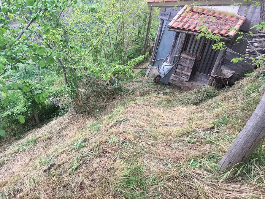 Immagine 30 di Rustico / casale in vendita  in Via Piemonte a Erli