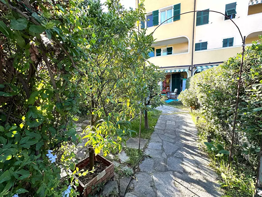 Immagine 24 di Appartamento in vendita  in Via Cav. F. Perseghini a Albenga
