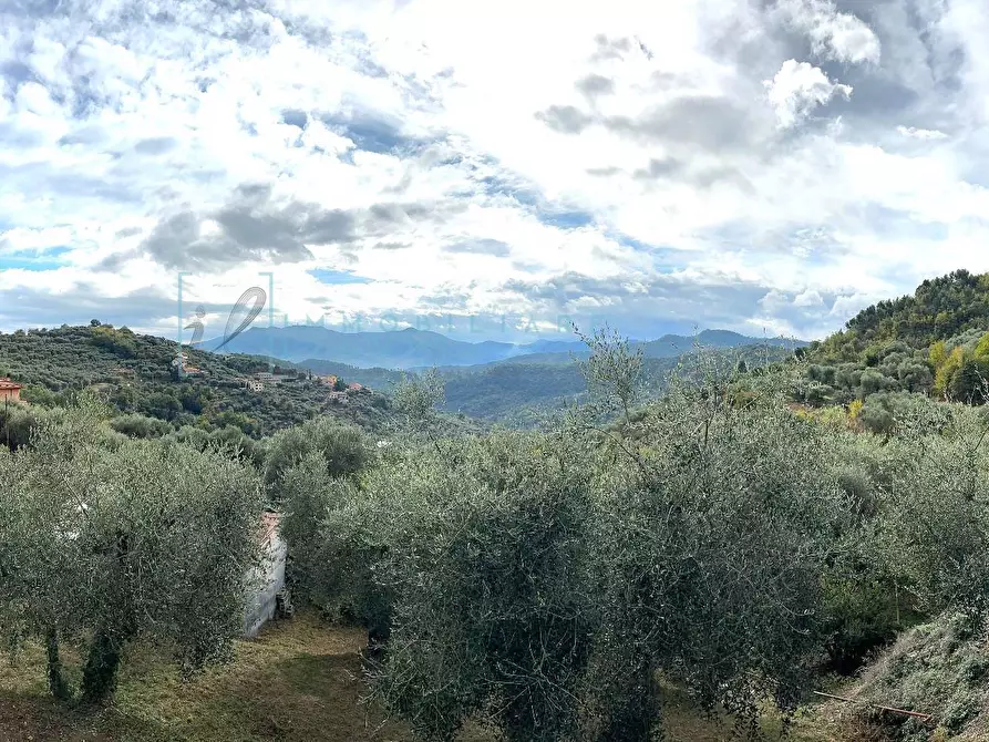 Immagine 2 di Casa indipendente in vendita  in località cantone a Vendone