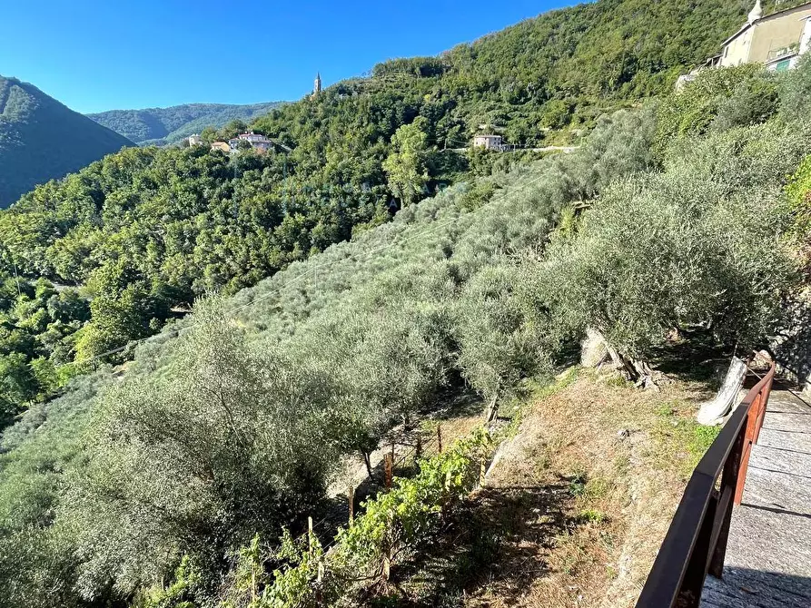 Immagine 2 di Rustico / casale in vendita  in Via la posta 12 a Pieve Di Teco