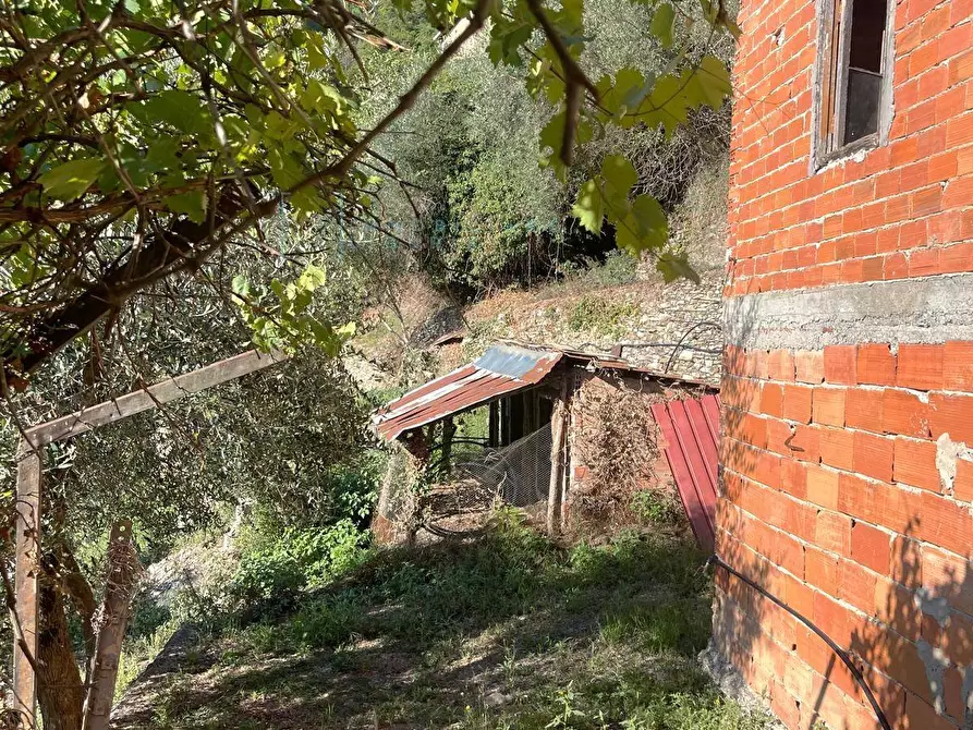 Immagine 4 di Rustico / casale in vendita  in Via la posta 12 a Pieve Di Teco