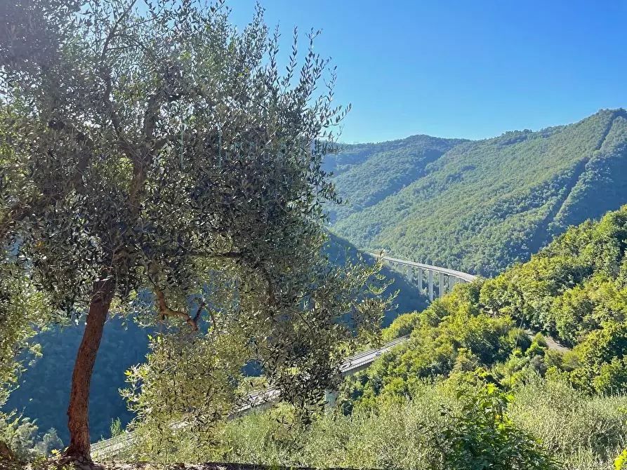 Immagine 1 di Rustico / casale in vendita  in Via la posta 12 a Pieve Di Teco