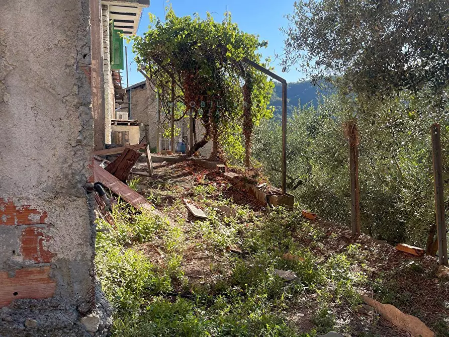 Immagine 43 di Rustico / casale in vendita  in Via la posta 12 a Pieve Di Teco