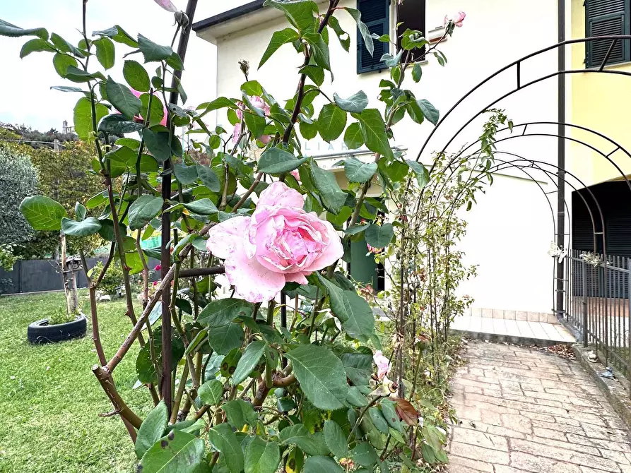 Immagine 50 di Villetta a schiera in vendita  in via scogliaira a Ortovero