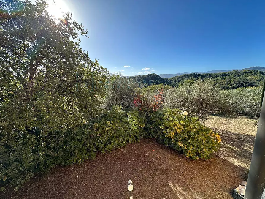 Immagine 3 di Villa in vendita  in Via Costa da Moglia a Arnasco