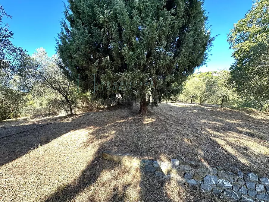 Immagine 22 di Villa in vendita  in Via Costa da Moglia a Arnasco