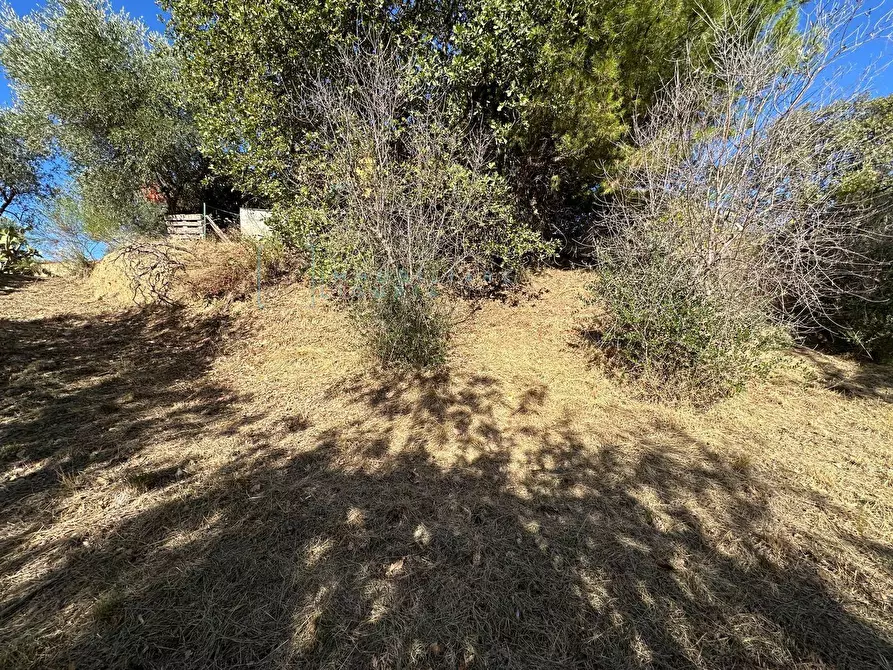 Immagine 23 di Villa in vendita  in Via Costa da Moglia a Arnasco