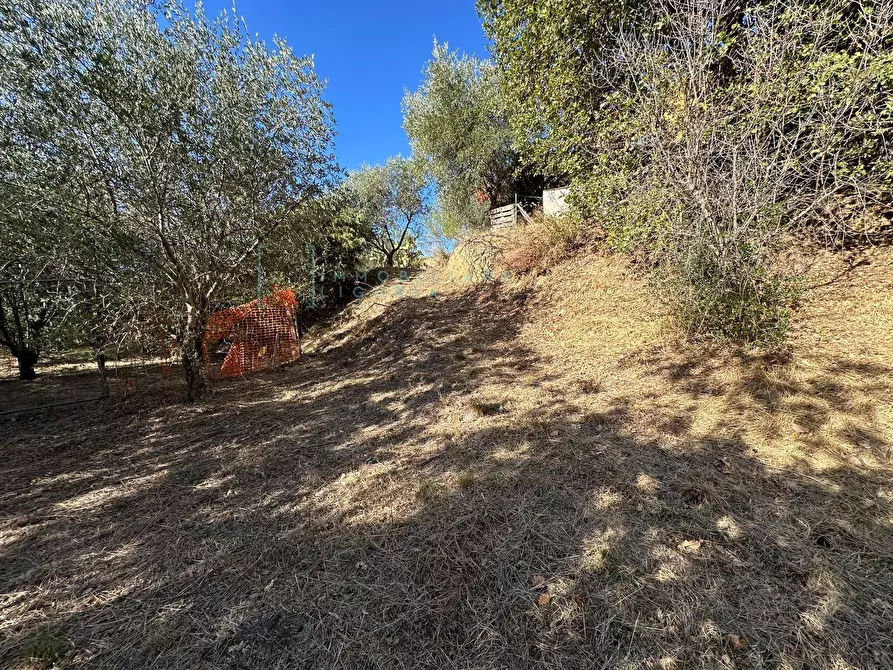 Immagine 24 di Villa in vendita  in Via Costa da Moglia a Arnasco