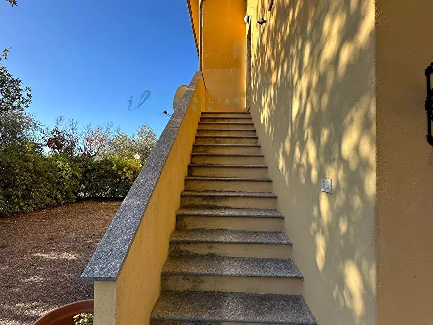 Immagine 19 di Villa in vendita  in Via Costa da Moglia a Arnasco