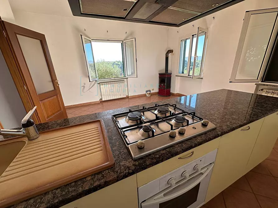 Immagine 8 di Villa in vendita  in Via Costa da Moglia a Arnasco