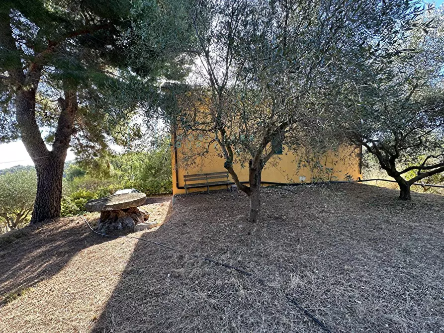 Immagine 28 di Villa in vendita  in Via Costa da Moglia a Arnasco