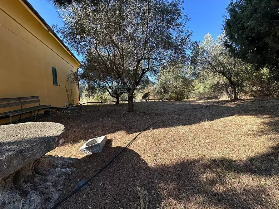 Immagine 26 di Villa in vendita  in Via Costa da Moglia a Arnasco