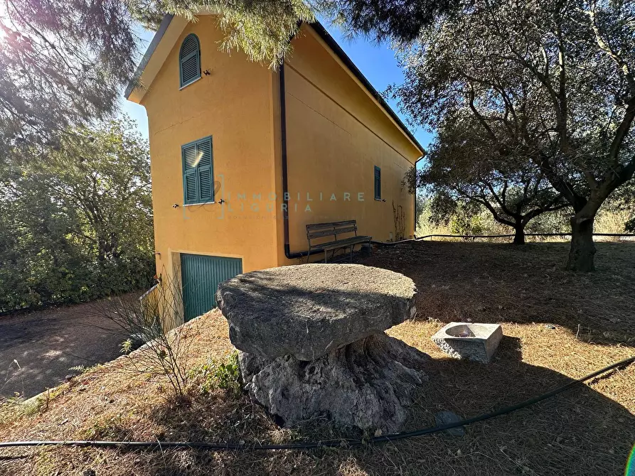 Immagine 27 di Villa in vendita  in Via Costa da Moglia a Arnasco