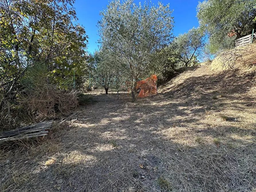 Immagine 29 di Villa in vendita  in Via Costa da Moglia a Arnasco