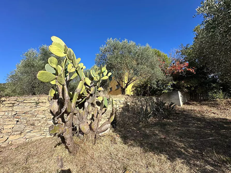 Immagine 30 di Villa in vendita  in Via Costa da Moglia a Arnasco