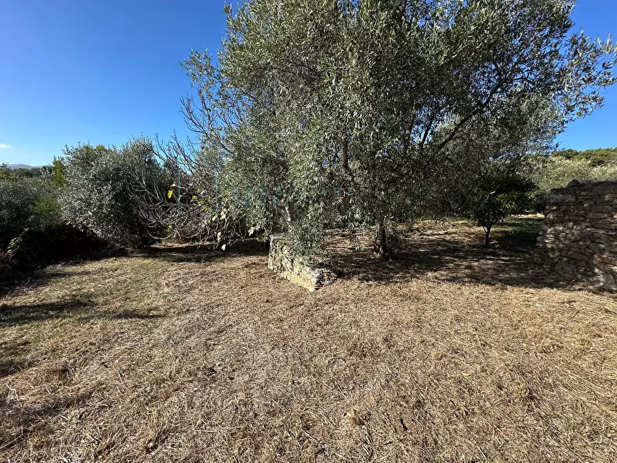 Immagine 31 di Villa in vendita  in Via Costa da Moglia a Arnasco