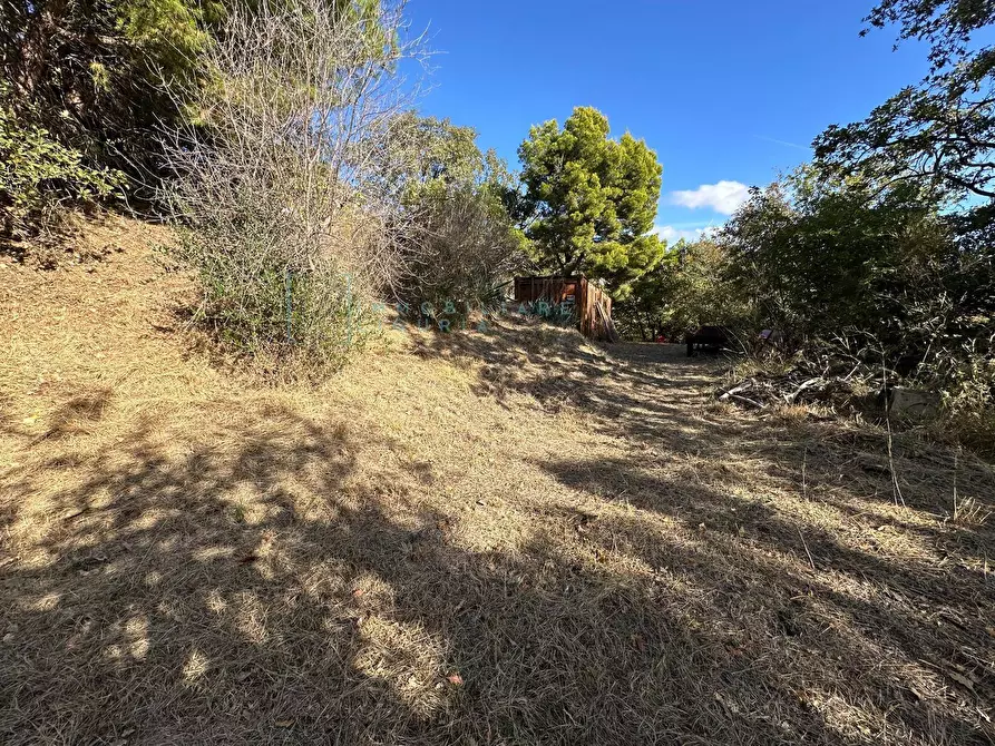 Immagine 32 di Villa in vendita  in Via Costa da Moglia a Arnasco