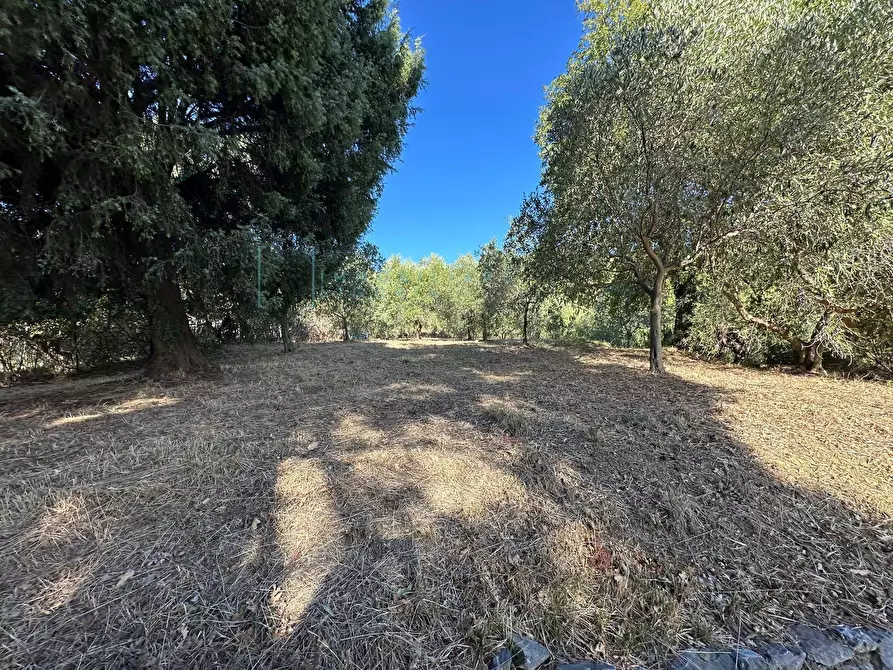 Immagine 34 di Villa in vendita  in Via Costa da Moglia a Arnasco