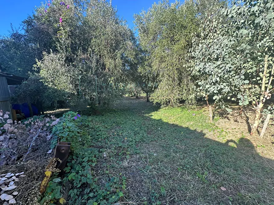 Immagine 10 di Terreno agricolo in vendita  in Piamboschi a Cisano Sul Neva