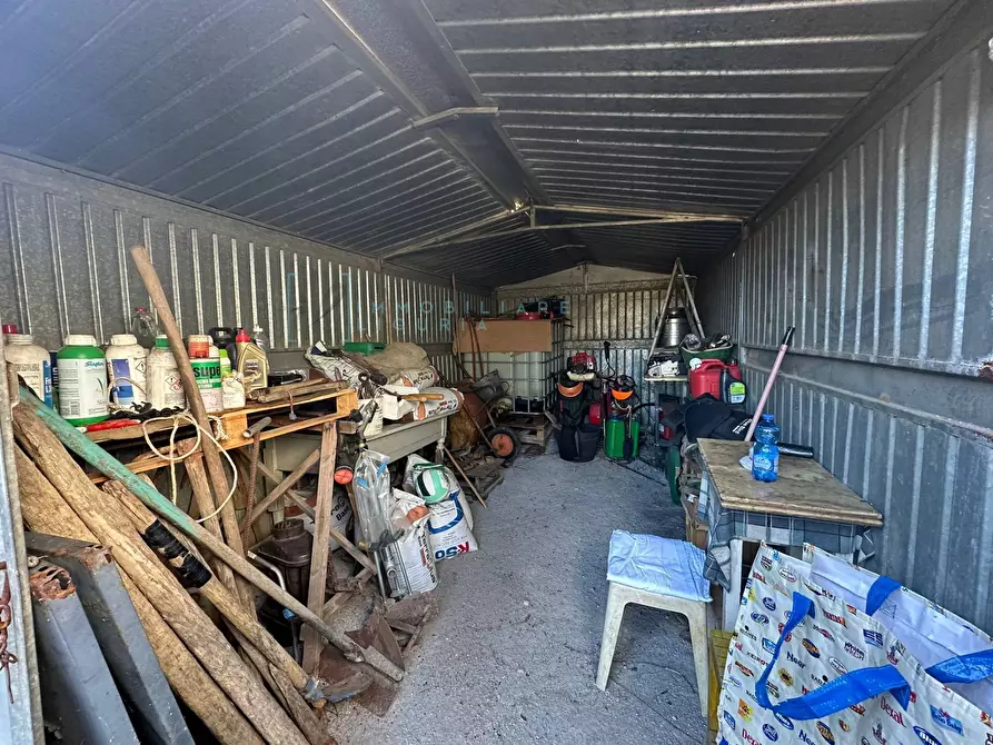 Immagine 11 di Terreno agricolo in vendita  in Piamboschi a Cisano Sul Neva