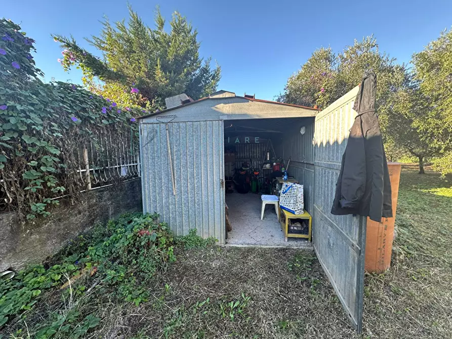 Immagine 12 di Terreno agricolo in vendita  in Piamboschi a Cisano Sul Neva