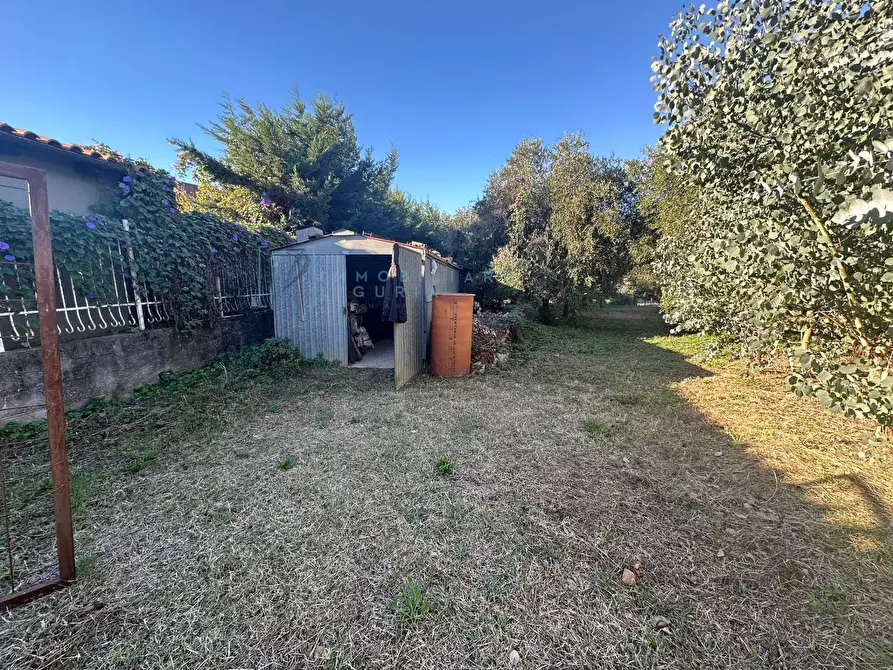 Immagine 13 di Terreno agricolo in vendita  in Piamboschi a Cisano Sul Neva
