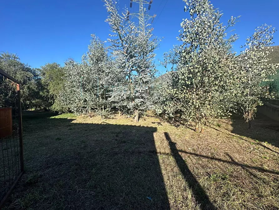 Immagine 14 di Terreno agricolo in vendita  in Piamboschi a Cisano Sul Neva