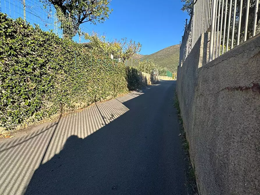 Immagine 15 di Terreno agricolo in vendita  in Piamboschi a Cisano Sul Neva