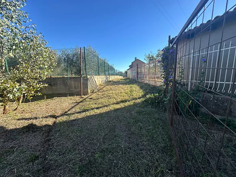 Immagine 17 di Terreno agricolo in vendita  in Piamboschi a Cisano Sul Neva