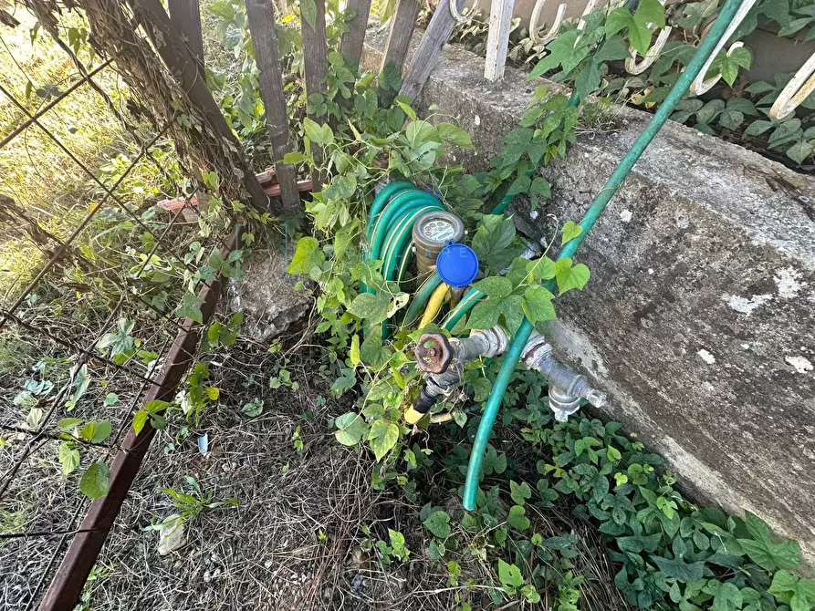 Immagine 18 di Terreno agricolo in vendita  in Piamboschi a Cisano Sul Neva