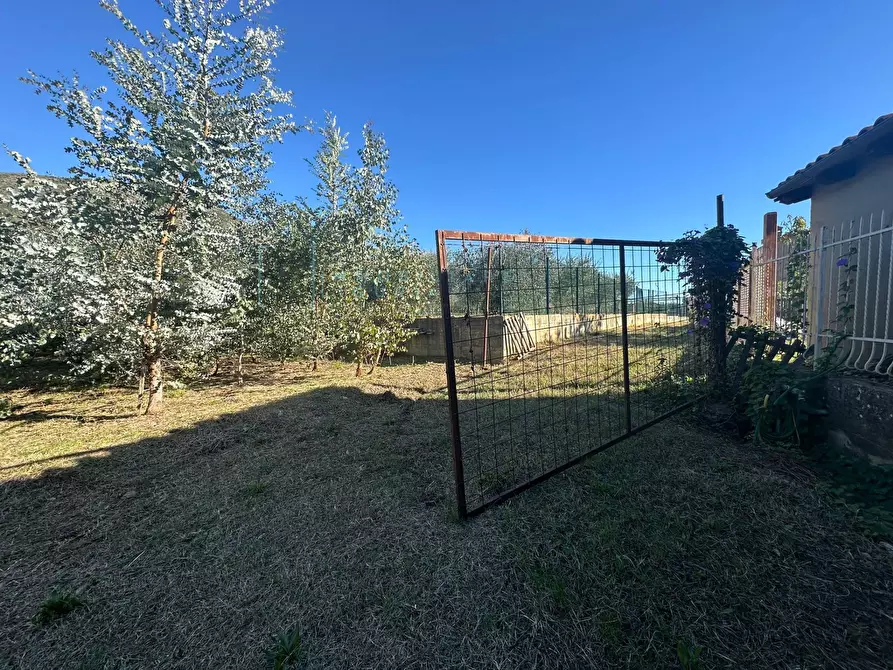 Immagine 19 di Terreno agricolo in vendita  in Piamboschi a Cisano Sul Neva