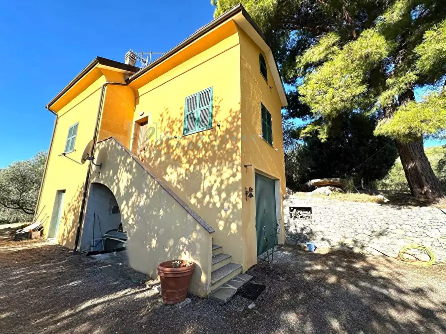 Immagine 36 di Villa in vendita  in Via Costa da Moglia a Arnasco