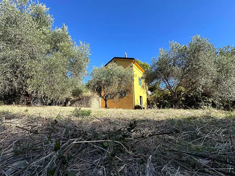 Immagine 37 di Villa in vendita  in Via Costa da Moglia a Arnasco