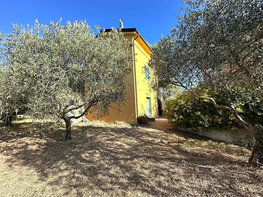 Immagine 38 di Villa in vendita  in Via Costa da Moglia a Arnasco