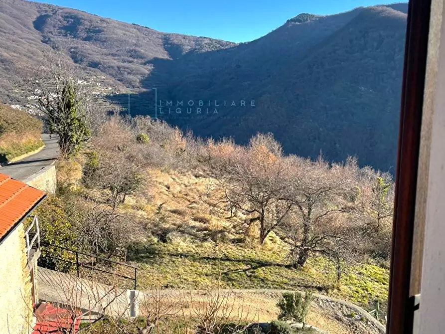 Immagine 32 di Rustico / casale in vendita  in Piazza dell'assunta a Pieve Di Teco