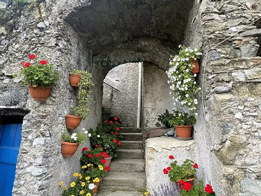 Immagine 2 di Rustico / casale in vendita  in via IV Novembre a Castelbianco