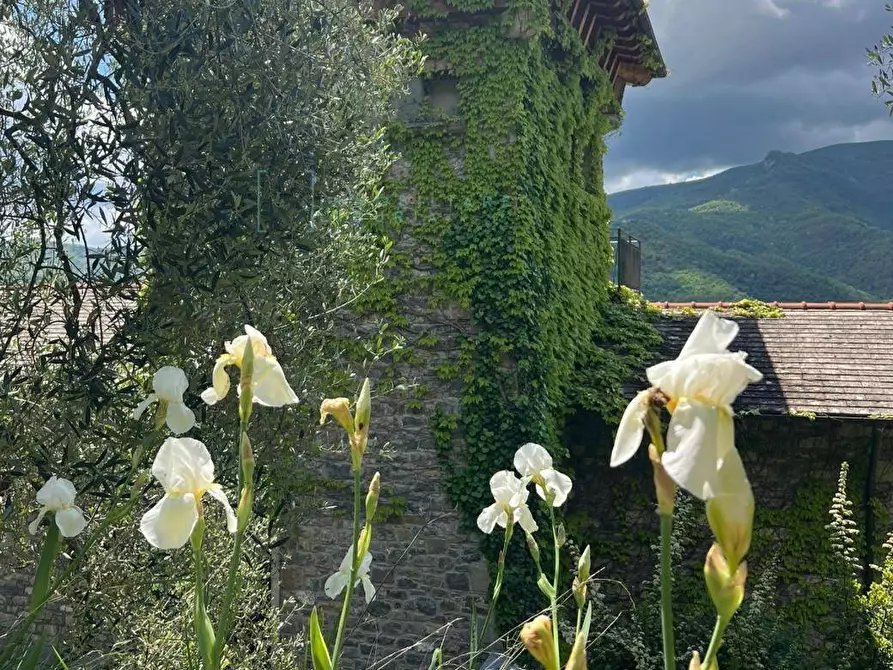Immagine 43 di Villa in vendita  in ligassorio a Pieve Di Teco