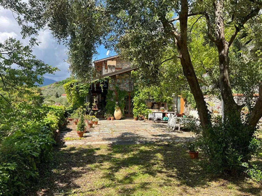 Immagine 45 di Villa in vendita  in ligassorio a Pieve Di Teco