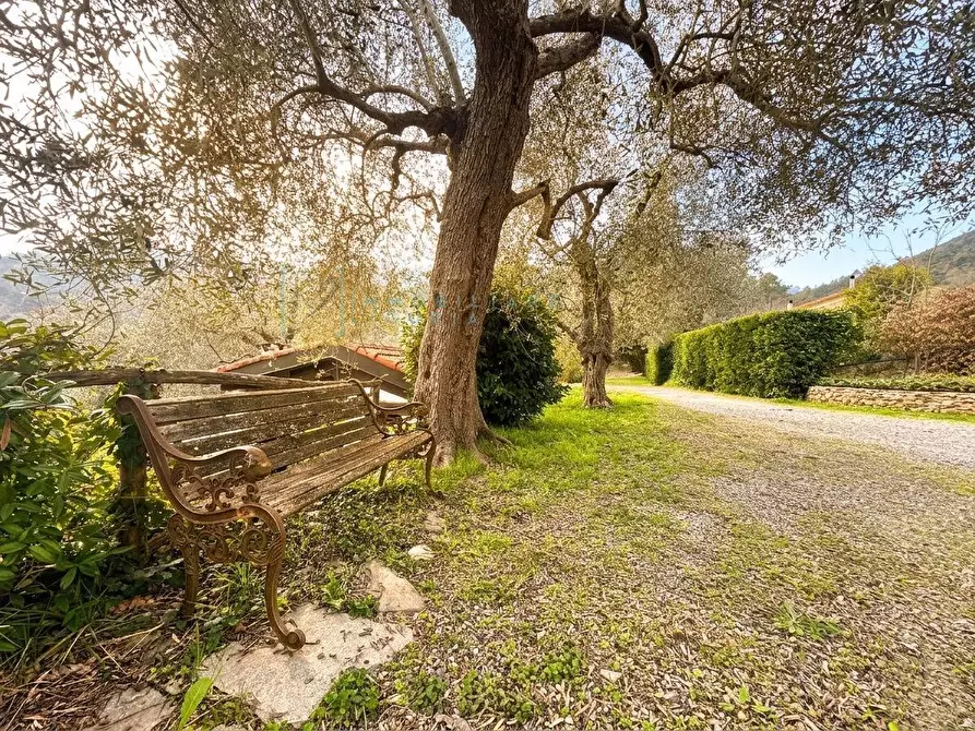 Immagine 33 di Villa in vendita  in Regione Bauso a Garlenda