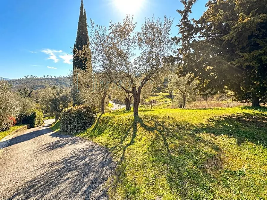 Immagine 32 di Villa in vendita  in Regione Bauso a Garlenda