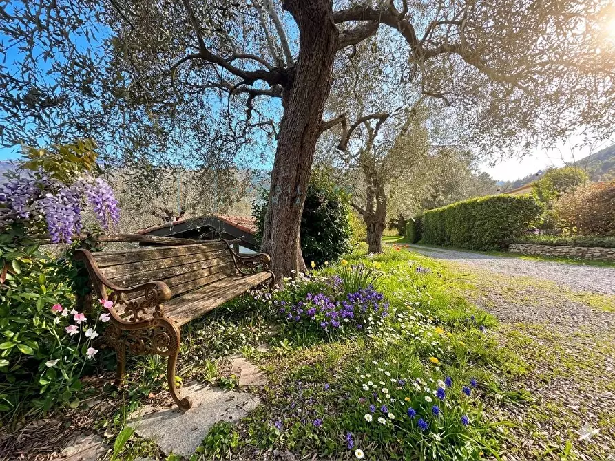 Immagine 38 di Villa in vendita  in Regione Bauso a Garlenda