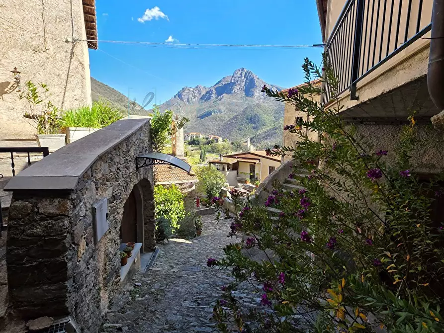 Immagine 30 di Rustico / casale in vendita  in via Montegrappa a Castelbianco