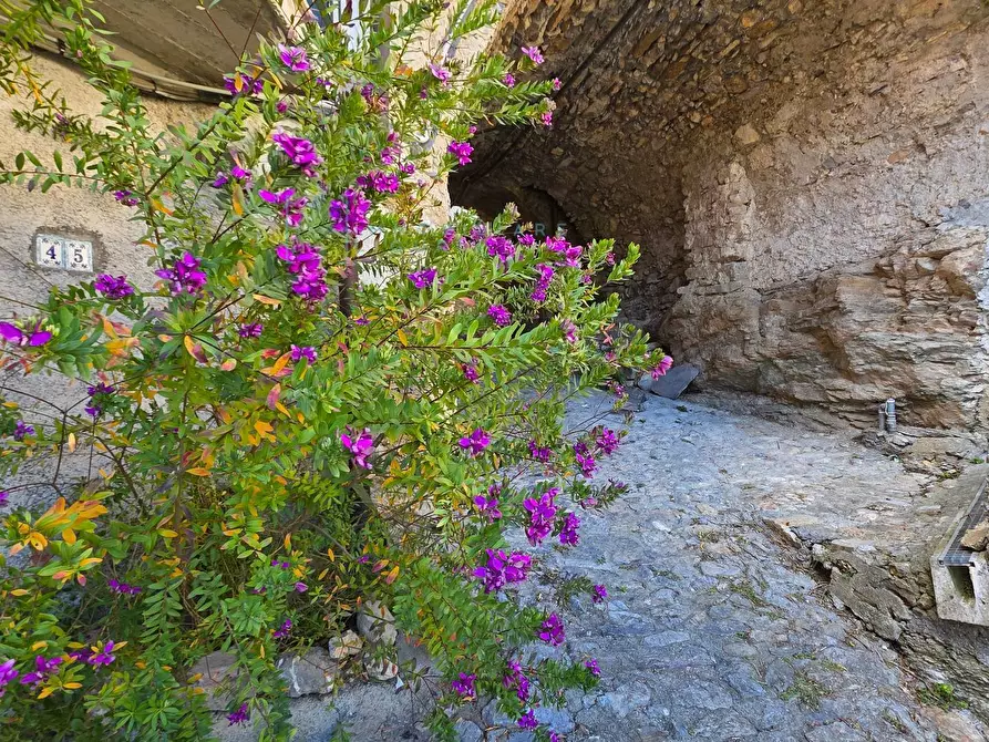 Immagine 32 di Rustico / casale in vendita  in via Montegrappa a Castelbianco